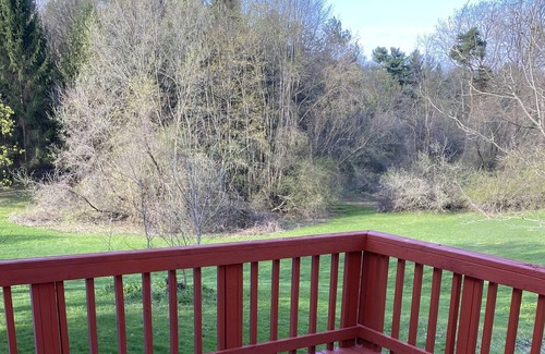 Hillsdale House | Charming small house 5 minutes from Hillsdale College and downtown.