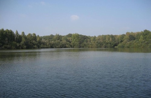 Saint-Viatre Cottage | Charming Solognote Cottage with Private Pond, Free Fishing, and Bike Rentals in Saint-Viâtre
