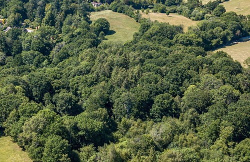 Warninglid Apartment | Charming Stone cottage backing on to woodland on a private estate