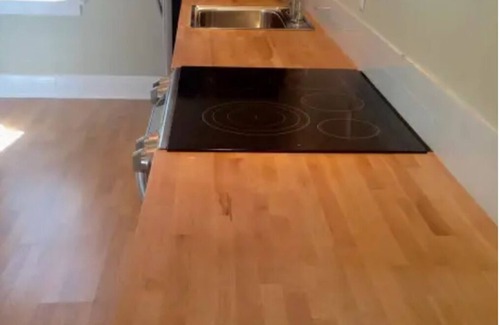 Palma Ceia Apartment | Charming studio in So Tampa Near Bayshore/Downtown with Wifi & AC