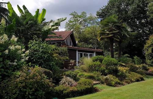 Soustons Apartment | Charming studio in the heart of the pine forest