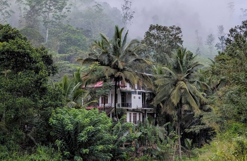 Demodera House | Charming Tea Garden Stay – 2 Bed Rooms Near Demodara Railway Loop