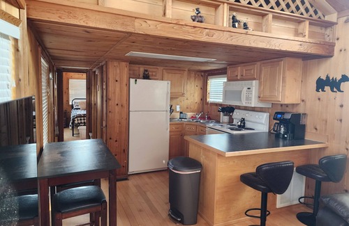 Moore Cabin | Charming tiny home cabin in peaceful Moore
