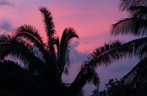Armenia House | Charming tropical getaway with Pool, sleeps 4
