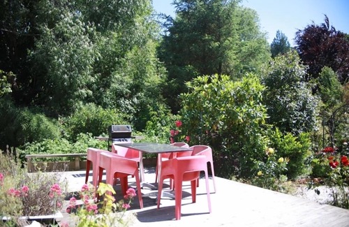 Dunedin House | Charming villa on tree-lined street