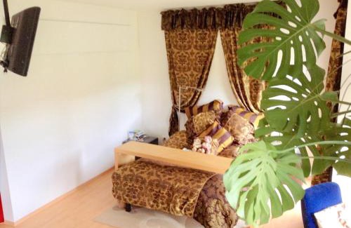 Bossonnens Villa | Charming Villa with Private Swimmingpool