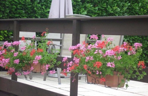 Couches House | Charming village house for 8 with private pool Close to vineyards and Beaune