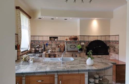 Slovenske Konjice House | Charming village house with patio and garden