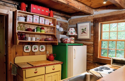 Bay Harbor Cabin | Charming Vintage Cabin on Beautiful Walloon Lake