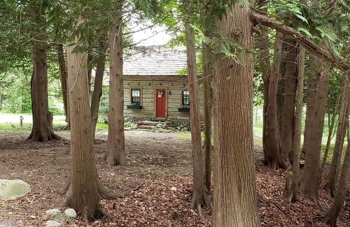 Bay Harbor Cabin | Charming Vintage Cabin on Beautiful Walloon Lake