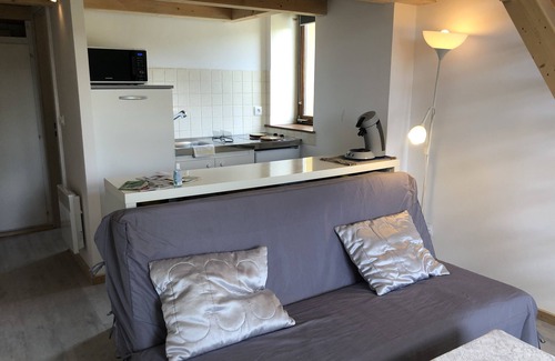 Le Hohwald Condo | Charming Vosges Loft - Family-Owned Mountain Haven with Mountain Views