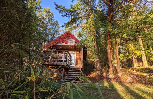 Pender Island Cabin | Charming Waterfront Cabin with Serene breathtaking Views - Pender Island Retreat