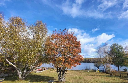Cayamant Ski Chalet | Charming waterfront cottage - pets welcome!