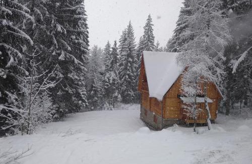 Oravska Polhora Cabin | Chata Živa pod Babou horou
