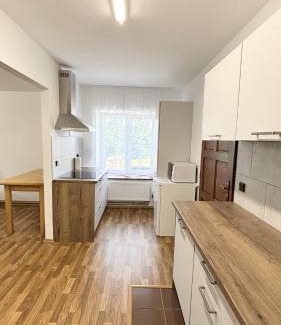 Detrichov nad Bystrici House | Chata Dětřichovka