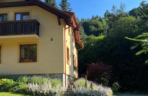 Valca Cabin | Chata Janet