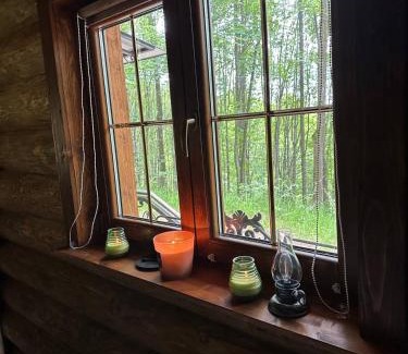 Perstejn House | Chata LESNÍ - "Lesni Udoli"