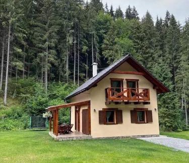 Lazisko Ski Chalet | Chata Mošnica