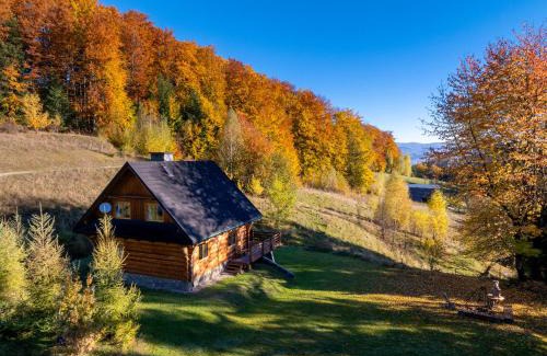 Piwniczna-Zdroj Ski Chalet | Chata na Kowalówkach - domek w górach Piwniczna Zdrój
