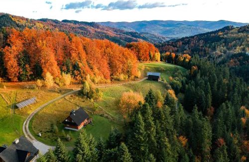 Piwniczna-Zdroj Ski Chalet | Chata na Kowalówkach - domek w górach Piwniczna Zdrój
