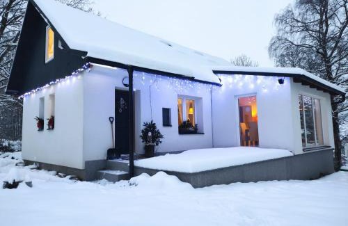 Bela pod Pradedem House | Chata nad potokem