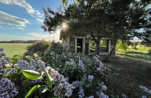 gmina Kozminek House | Chata Rosochata