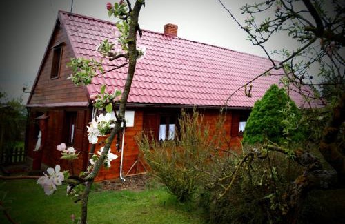 Jaminy House | Chata Skrzata