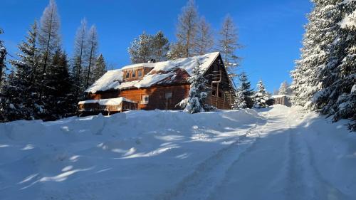 Oravska Lesna Apartment | Chata Veverička Oravská Lesná
