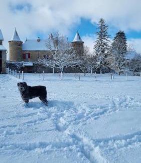 Quins Bed & Breakfast | Chateau de Cadars