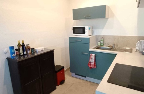 Lagrasse House | Chateau de Prax Viel, swimming pool, mini farm, air-conditioned - Gîte Syrah