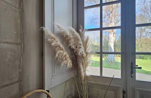 Artannes-sur-Indre House | Château des Archevêques in the heart of a village