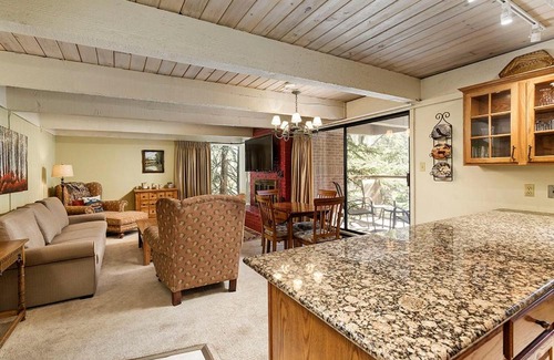 Aspen House | Chateau Eau Claire Unit 22, Condo Overlooking the Roaring Fork River with a Private Deck