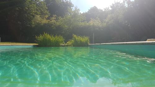 La Perche Bed & Breakfast | Chateau Igny