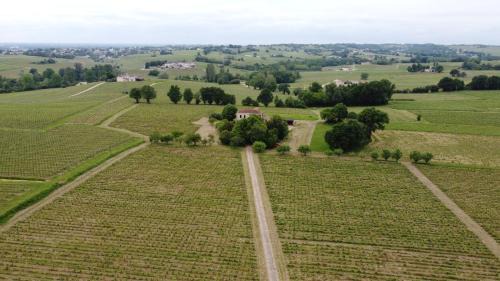 Tauriac Bed & Breakfast | Chateau Monichot Organic Vineyard