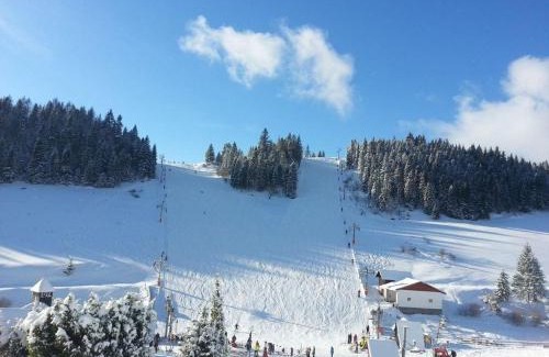 Litmanova Ski Chalet | Chatka Alexandra