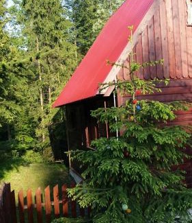 Sablowka Cabin | Chatka Nad Strumieniem
