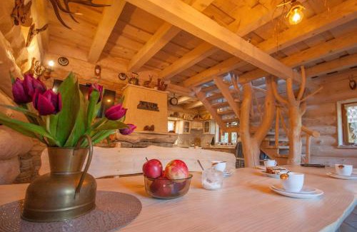 Ustrzyki Dolne Ski Chalet | Chatka Ustrzyki
