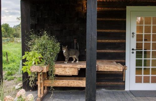 Kostrze House | Chatka w trawach