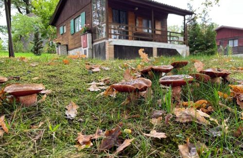 Netolice Cabin | Chaty U Žabáka