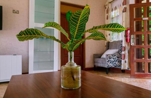 Dodoma Apartment | Chaula Farm