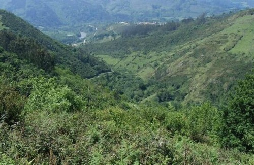 Bohiles Cottage | Cheap rural accommodation in small village ideal families