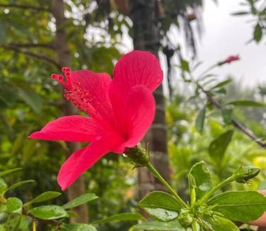 Shrirangapattana Villa | Cheerful 2 bedroom Private Farmhouse stay