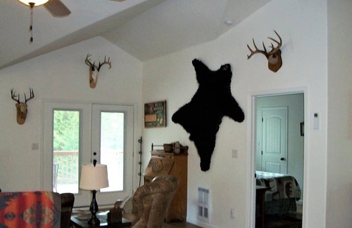 Colville House | Cheerful home in a beautiful, tranquil forest.