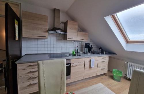 Rheinau House | Cheerful Roof Flat in a Private German Style House