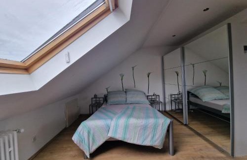 Rheinau House | Cheerful Roof Flat in a Private German Style House