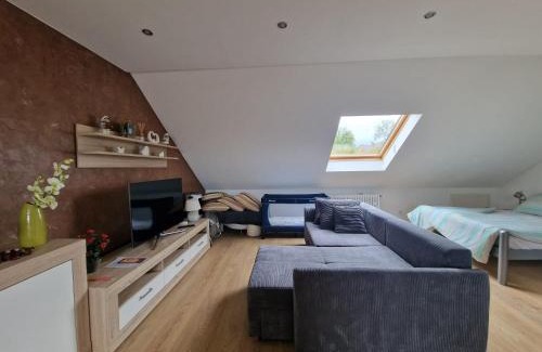 Rheinau House | Cheerful Roof Flat in a Private German Style House