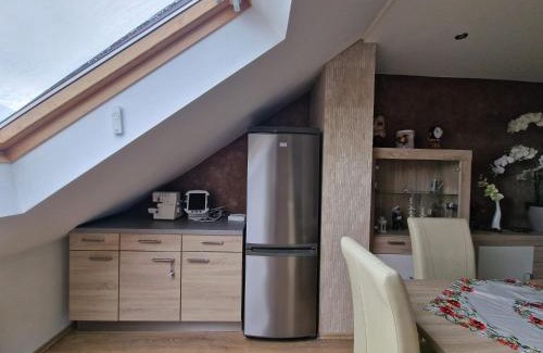 Rheinau House | Cheerful Roof Flat in a Private German Style House