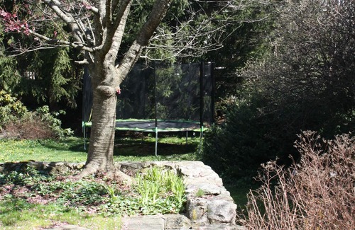 Old Greenwich House | Cheerful spacious family home in Old Greenwich - close to beach and town!