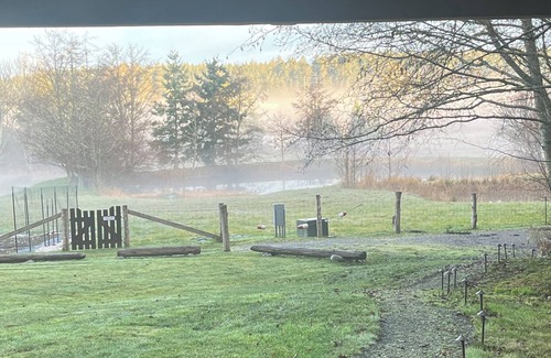Lopez Island House | Cheerful woodsy cabin w gas fireplace, sleeps 6.