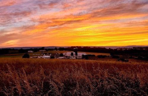 Mt. Bethel House | Chelsea Sun Inn - 200 Acre Private Mansion Poconos